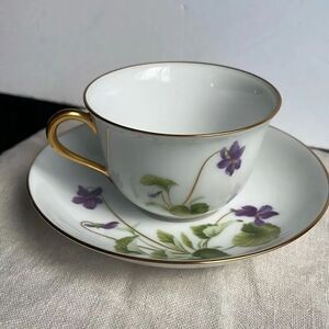 Vintage 1984 Japanese  “ Japan Flower Association”.  Bone China teacup & saucer.